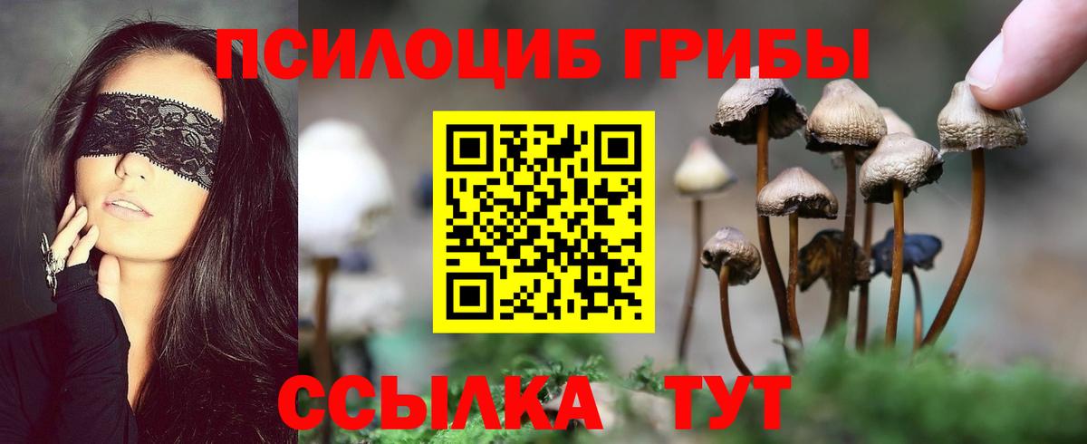 Псилоцибиновые грибы ЛСД  Вход с VPN  Киров 